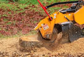 Best Stump Grinding and Removal  in Mansfield, LA